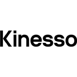 Business Logo_Kinesso.